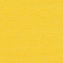 Load image into Gallery viewer, Treasure Garden - 9' Auto Tilt - black/lemon(C)