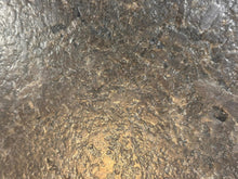 Load image into Gallery viewer, OASIS DISPLAY KITCHEN Floor Model by Napoleon Grills