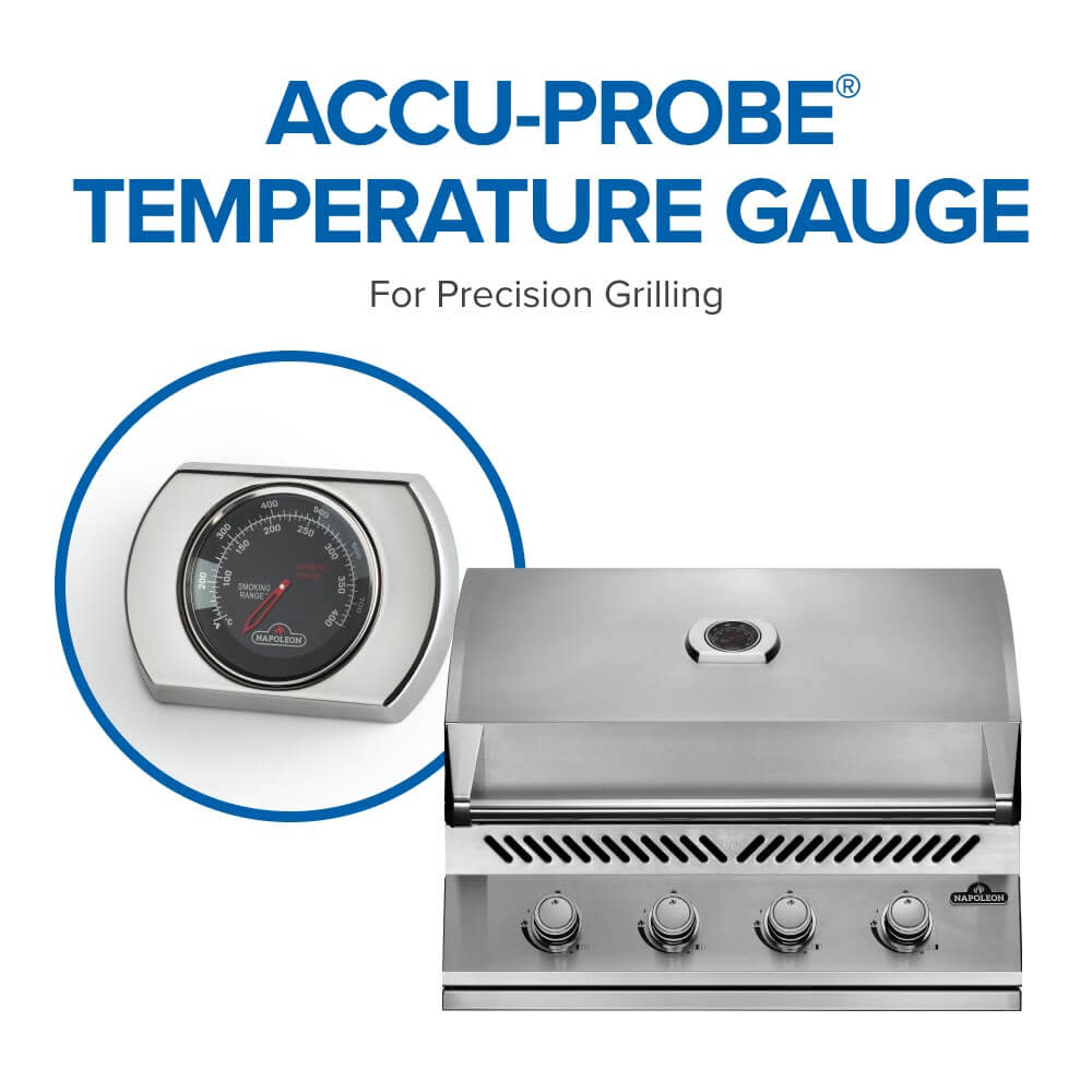 Built-In 500 Series 32-inch Gas Grill