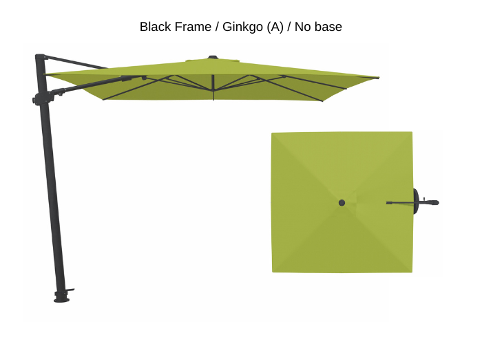 Treasure Garden - AG25T 10' Square Cantilever Umbrella - black / ginkgo (A) Sunbrella®